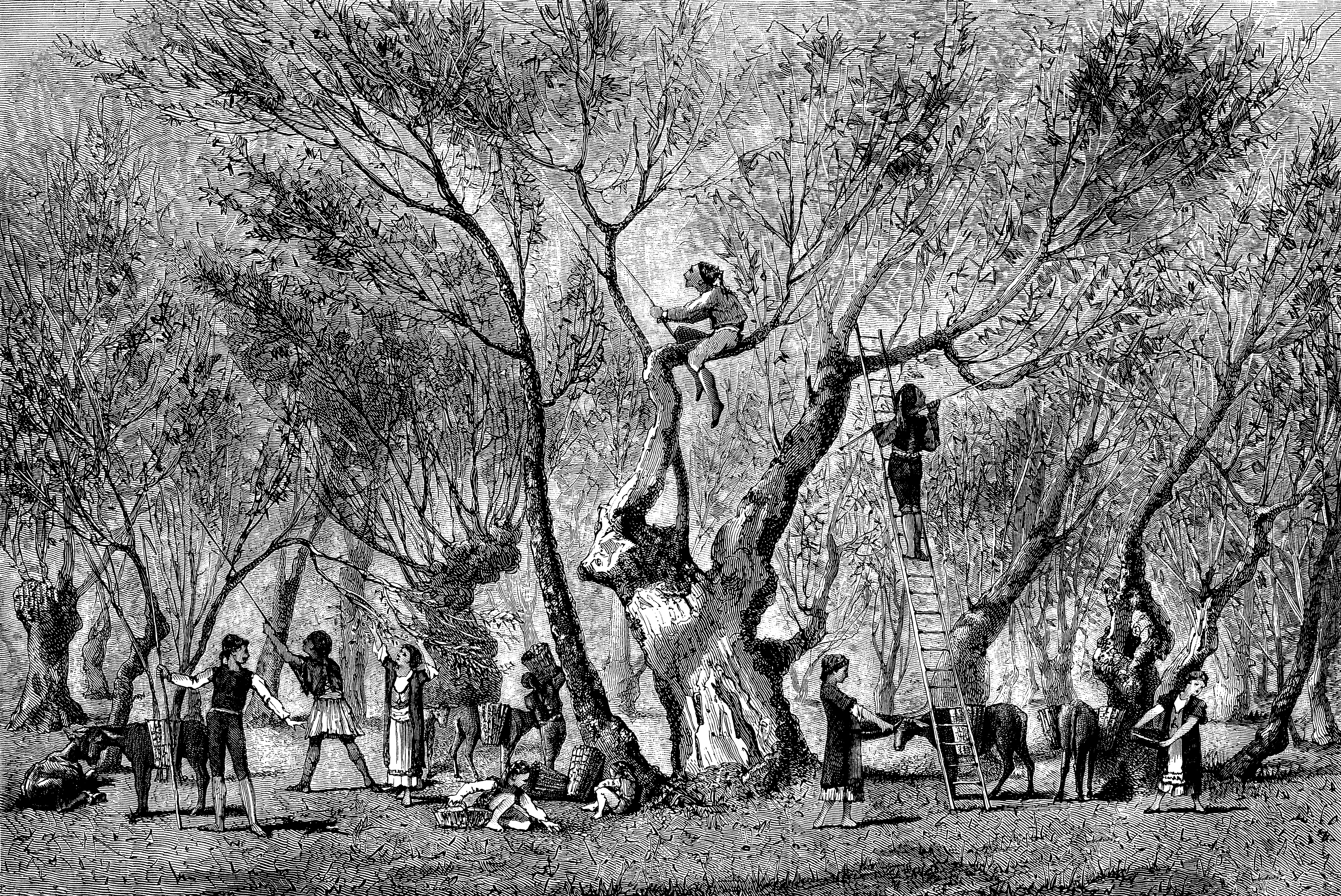 Μελέτη αγροτικού τομέα